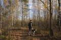 A young man walks with a husky dog Ã¢â¬â¹Ã¢â¬â¹on a leash in the autumn forest Royalty Free Stock Photo